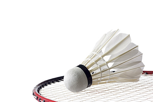 随后48小 随后48小